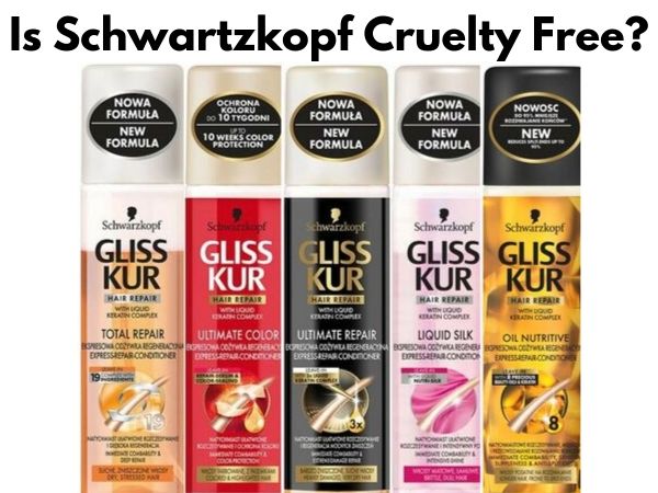 Is Schwarzkopf Cruelty-Free and Vegan?