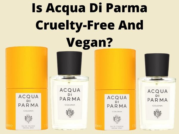 Is Acqua Di Pharma Cruelty Free And Vegan